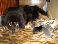 /album/stenatka/matka-odpociva-po-porodu-jpg/